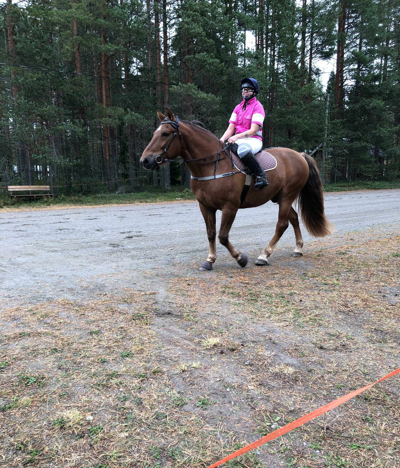 Väiski Sofian kanssa hevostapahtumassa esiintymässä