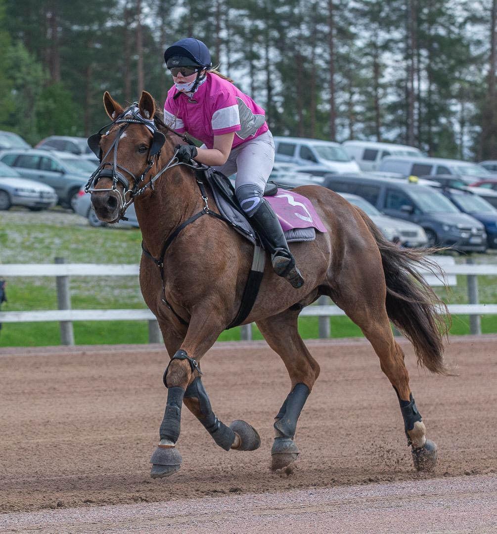 Väiski Kajaanissa montessa