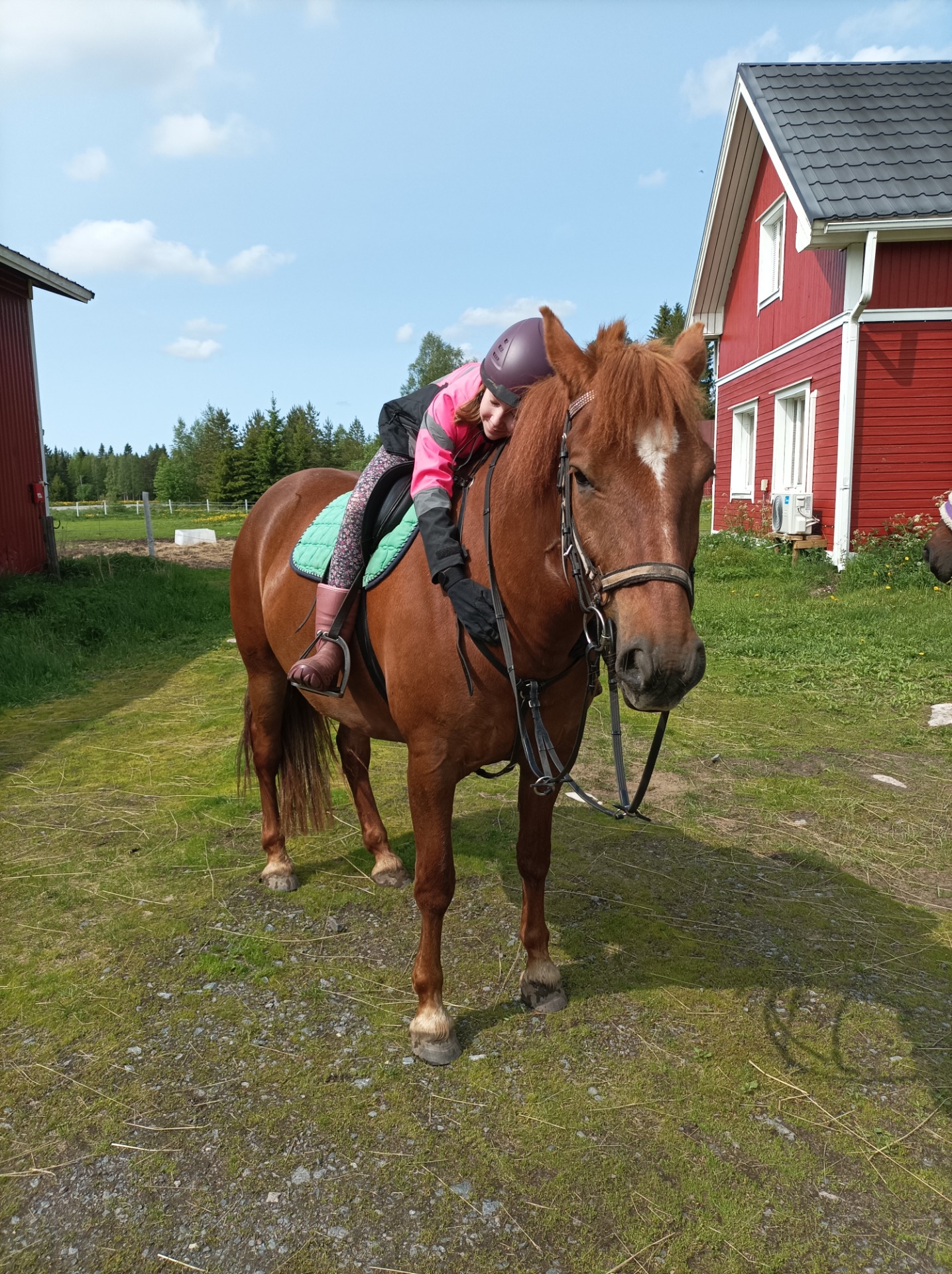 Vanni maastolenkin jälkeen