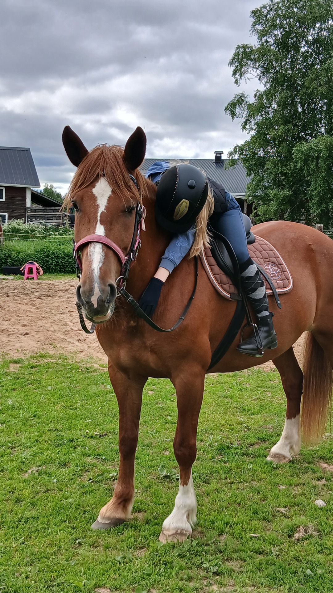 Jassu