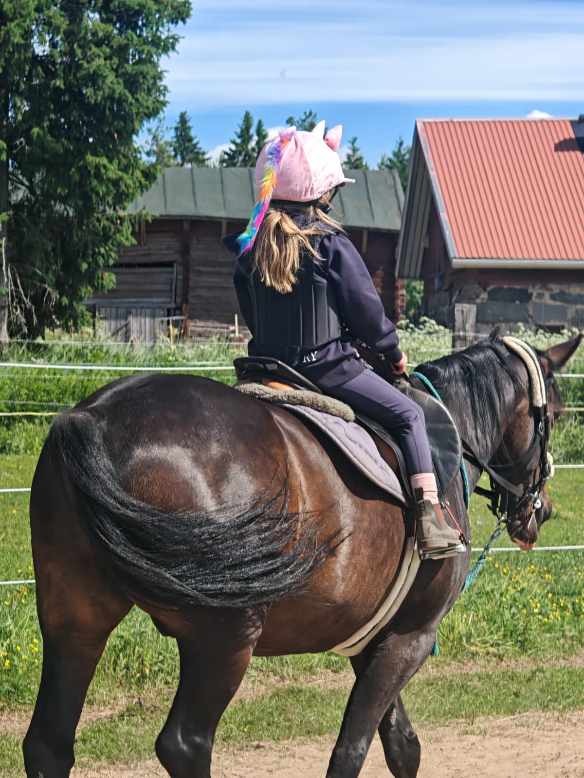 Ilari